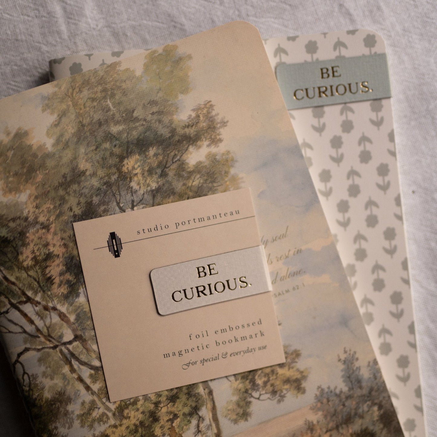 “Be Curious” magnetic bookmark