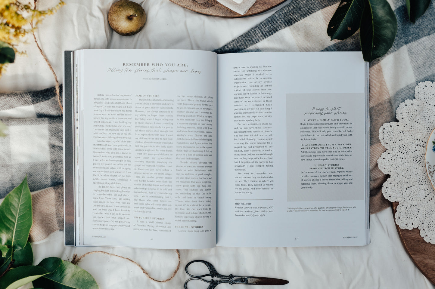 Commonplace Vol. 08 - Preservation