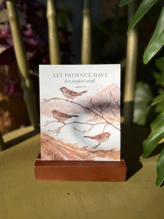 "Be Still" Scripture Prayer Cards