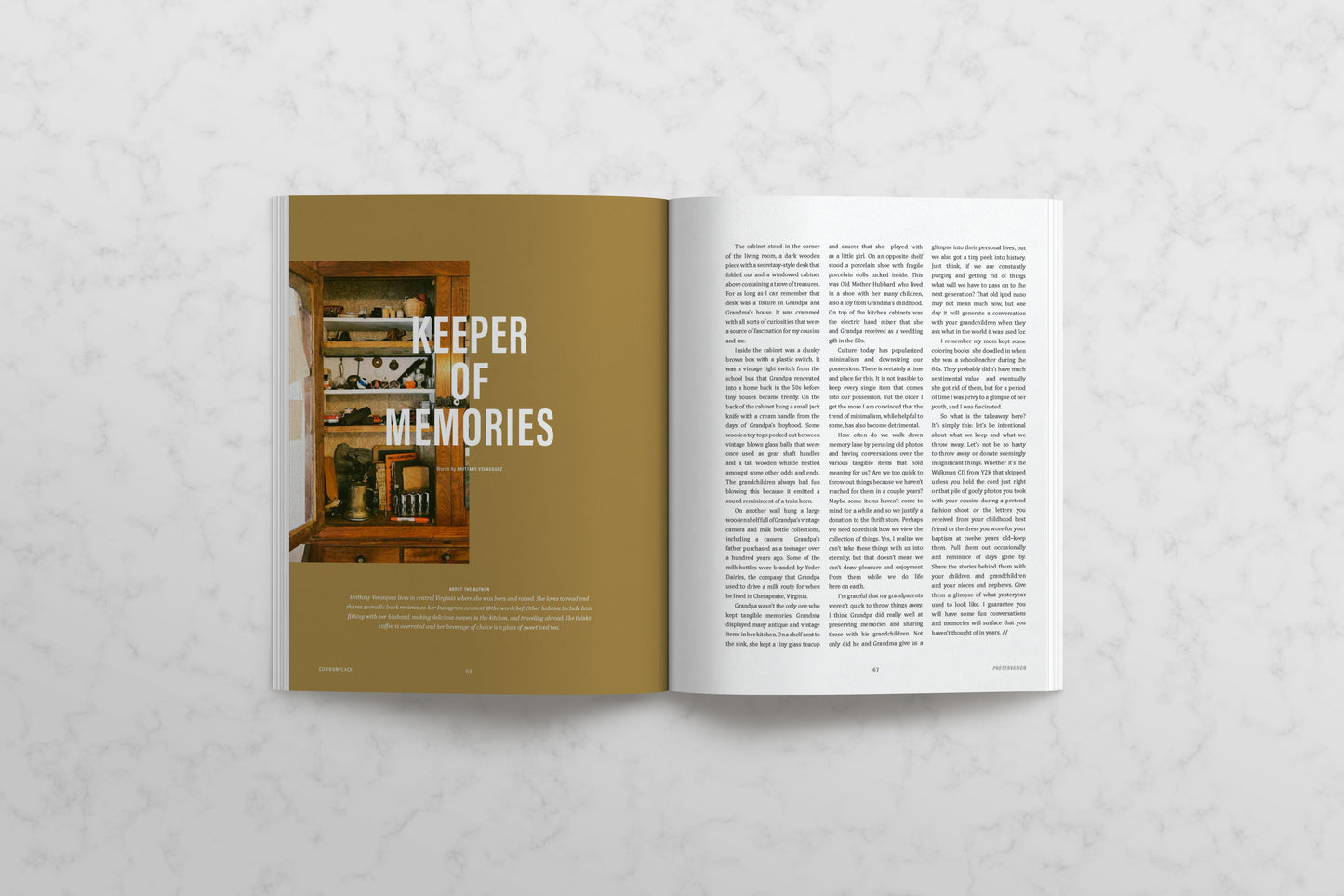 Commonplace Vol. 08 - Preservation