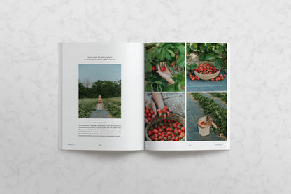 Commonplace Vol. 08 - Preservation