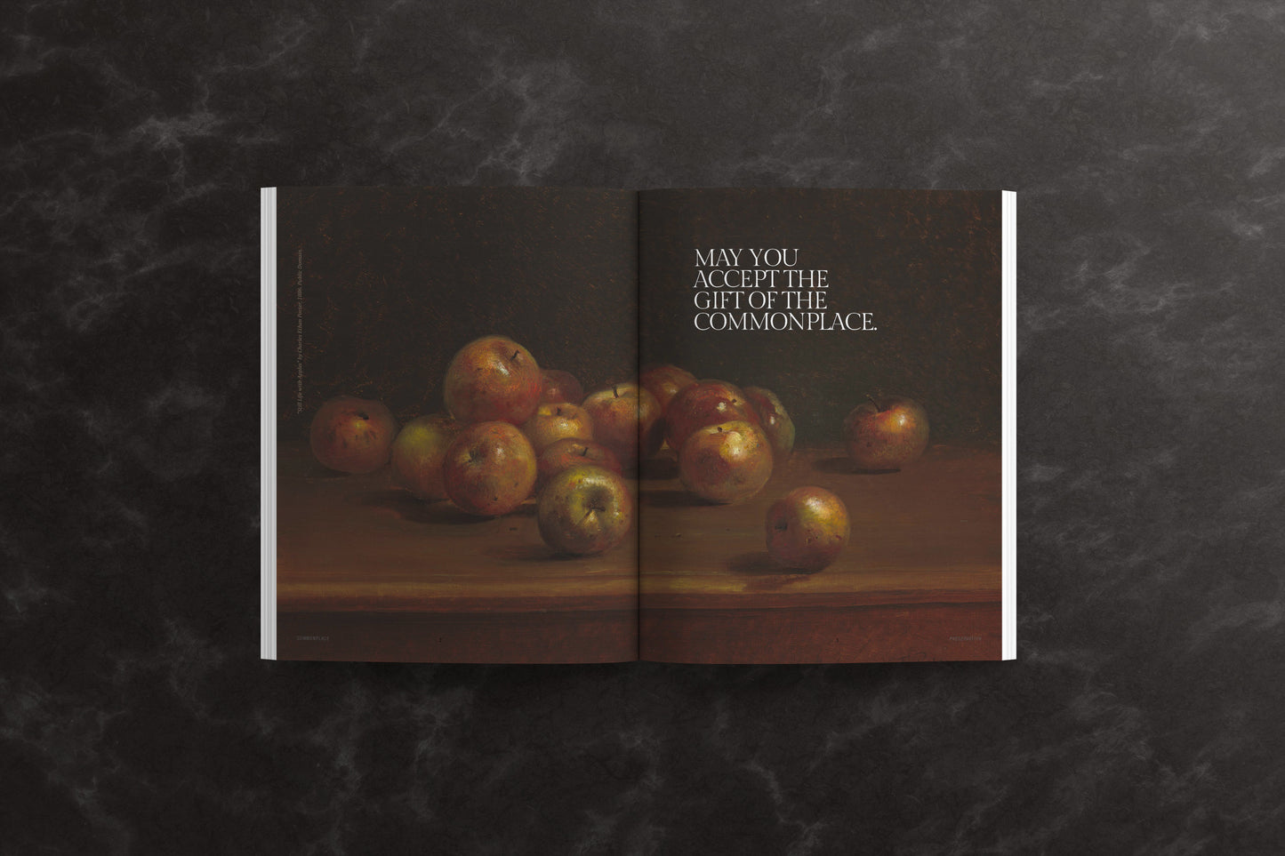 Commonplace Vol. 08 - Preservation