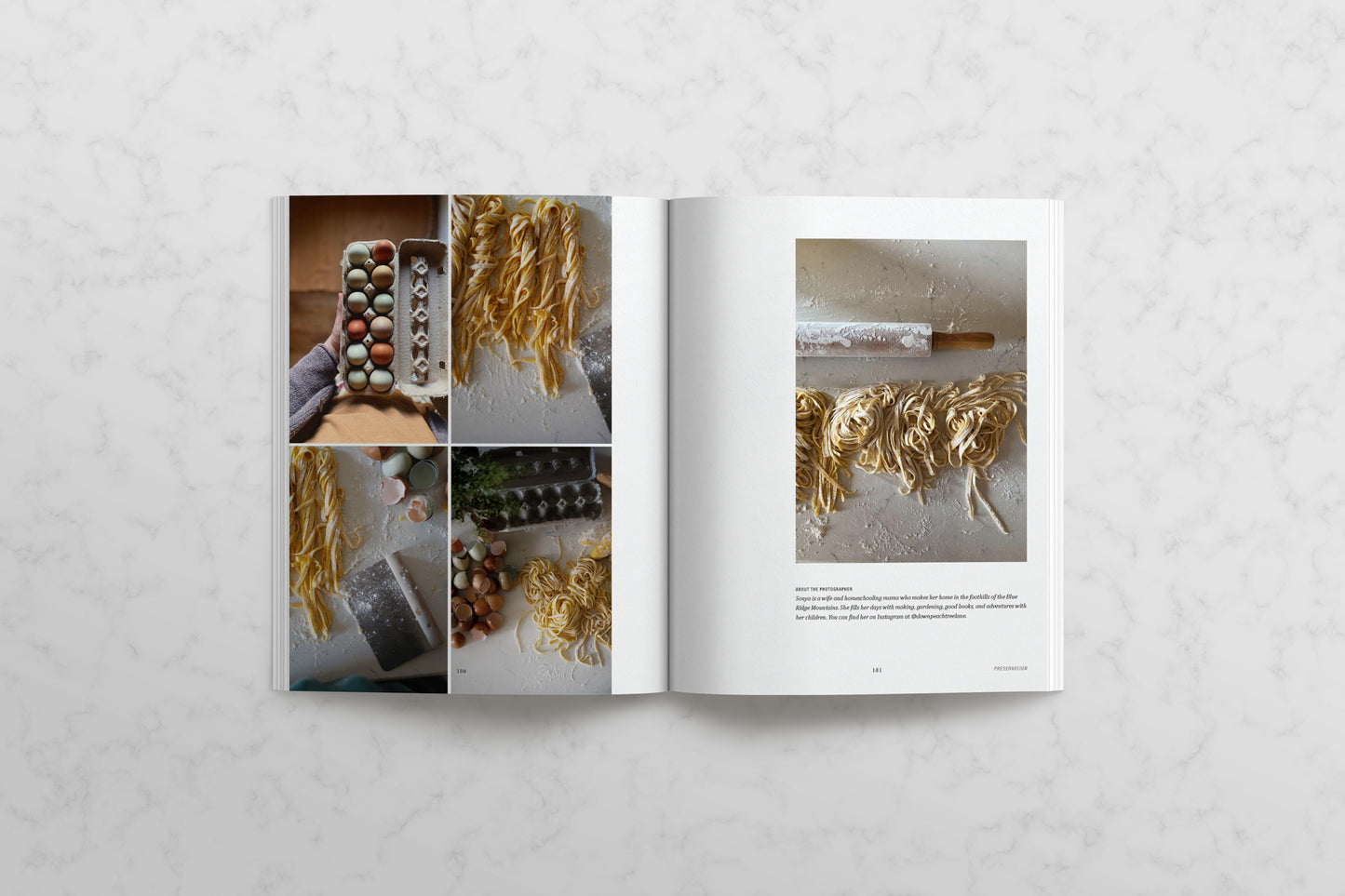 Commonplace Vol. 08 - Preservation