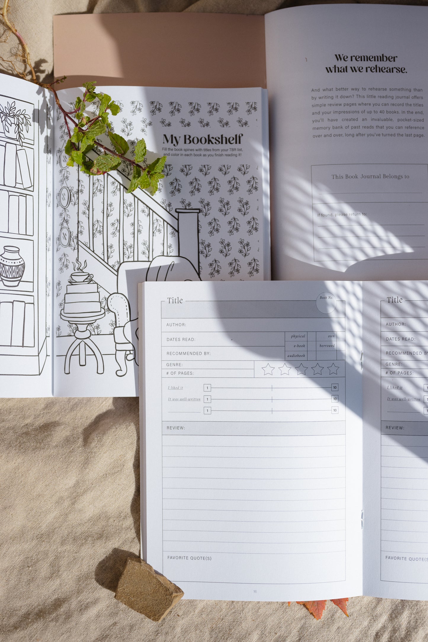 The Pemberley Package (PRE-ORDER)