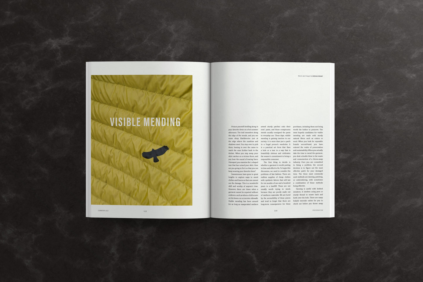 Commonplace Vol. 08 - Preservation