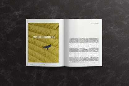 Commonplace Vol. 08 - Preservation